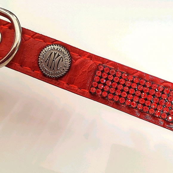 AKC Dog Collar Faux Red Crocodile w K-9 Rubies S - Picture 2 of 15